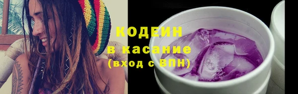 хмурый Арсеньев