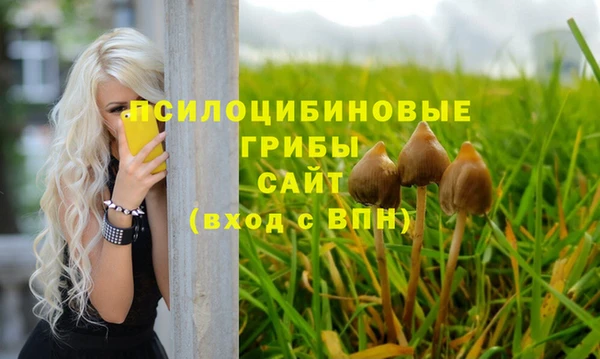 Альфа ПВП Баксан
