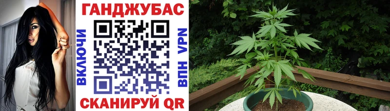 Бошки марихуана SATIVA & INDICA Бронницы